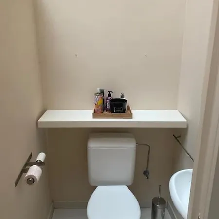 1597 Medieval Modern House *