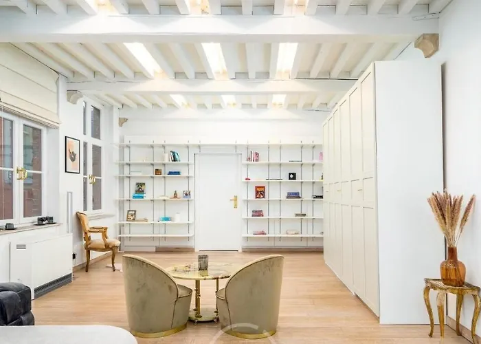 1597 Medieval Modern House * Ghent