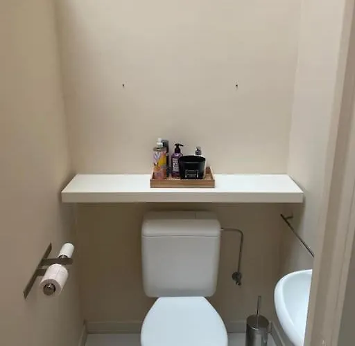 1597 Medieval Modern House *